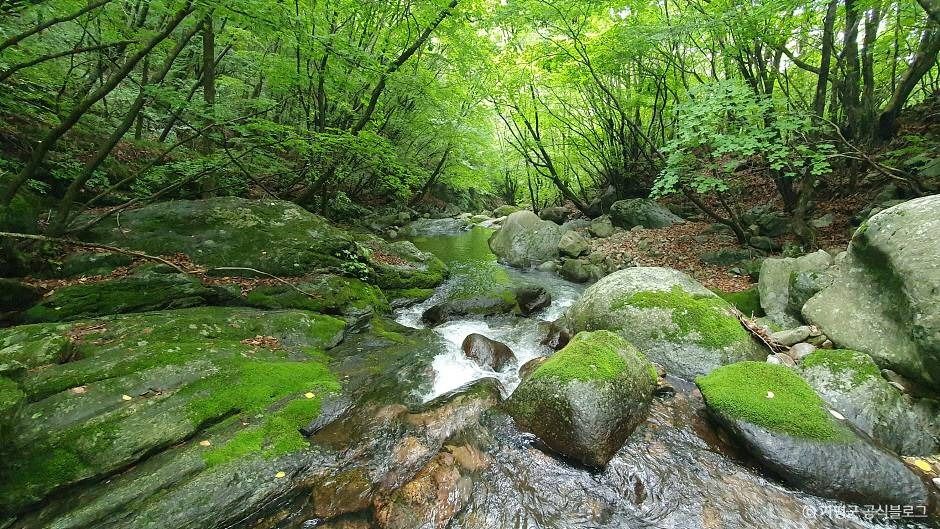 가평_석룡산 (5)