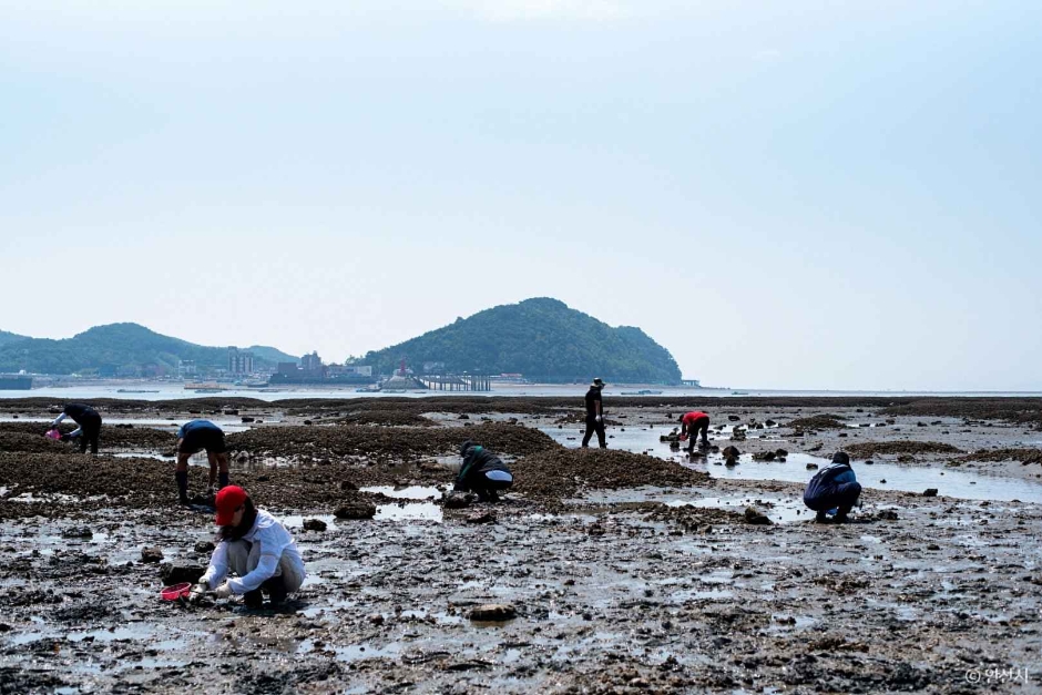 선감어촌체험마을 (3)