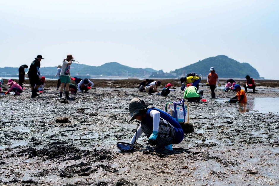 선감어촌체험마을 (4)