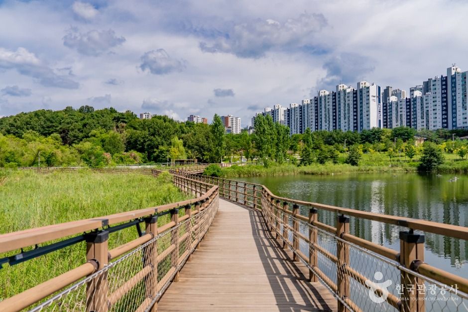 화성_선납숲공원 (5)