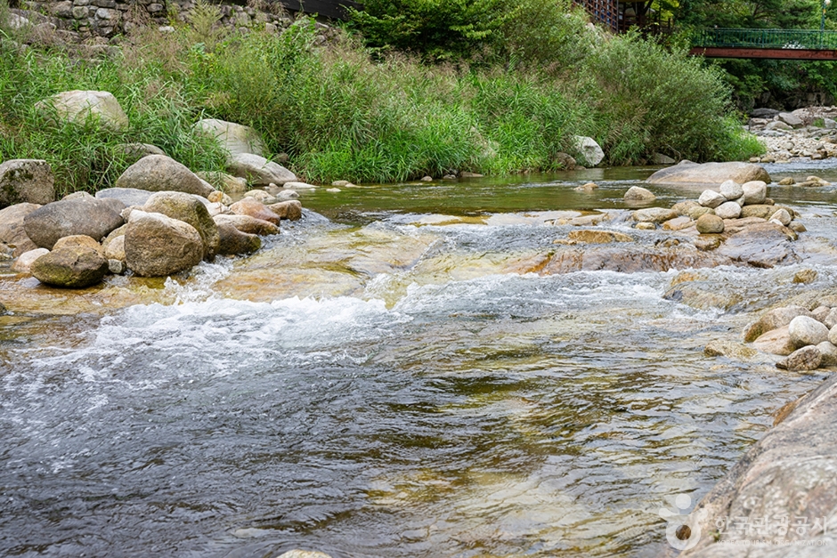 선유담계곡 (7)