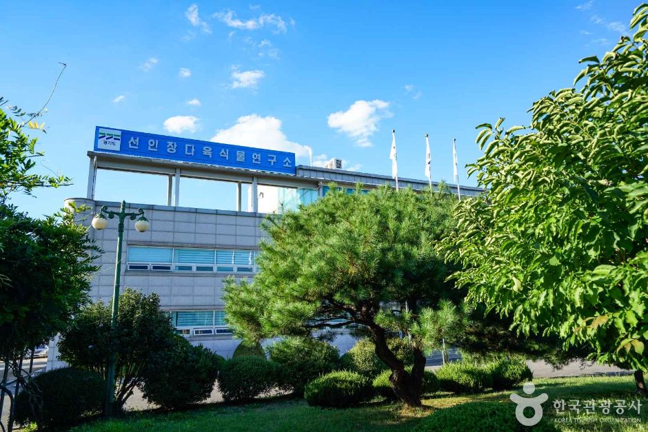 경기_고양_선인장다육식물연구소(구 선인장연구소) (7)