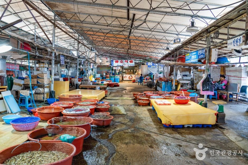 화성_선창포구 (4)