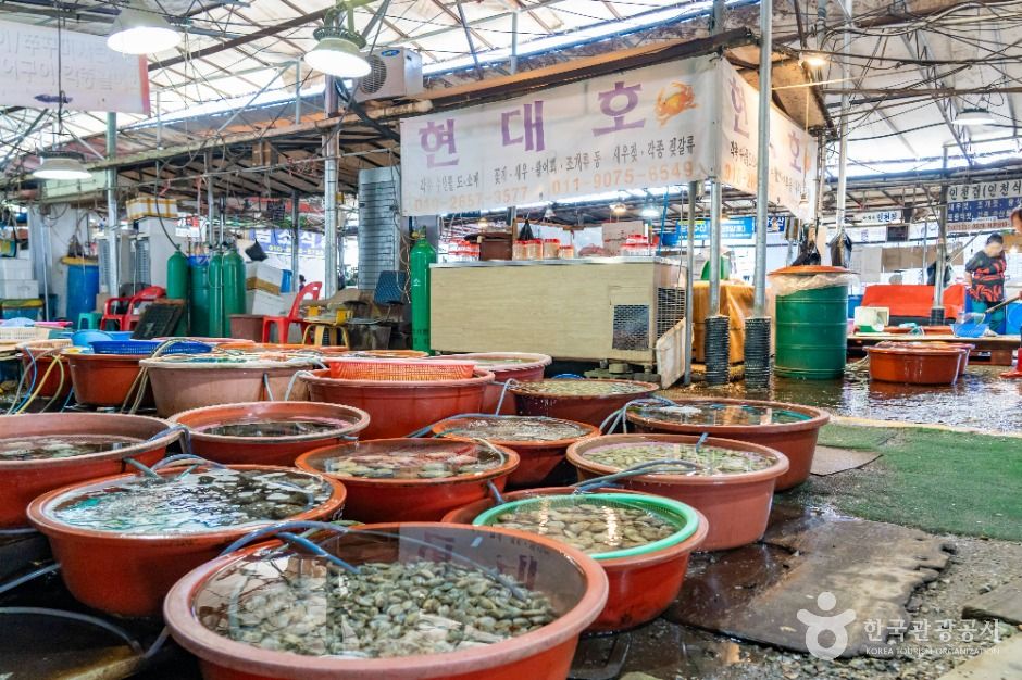 화성_선창포구 (5)