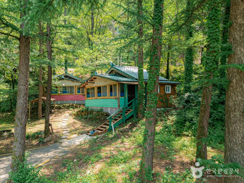 양평_설매재자연휴양림 (2)