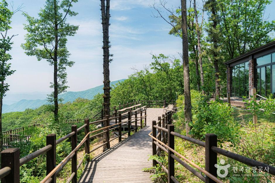 양평_설매재자연휴양림 (3)