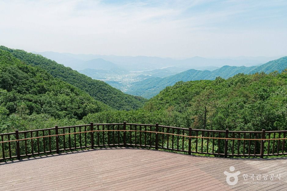 양평_설매재자연휴양림 (5)