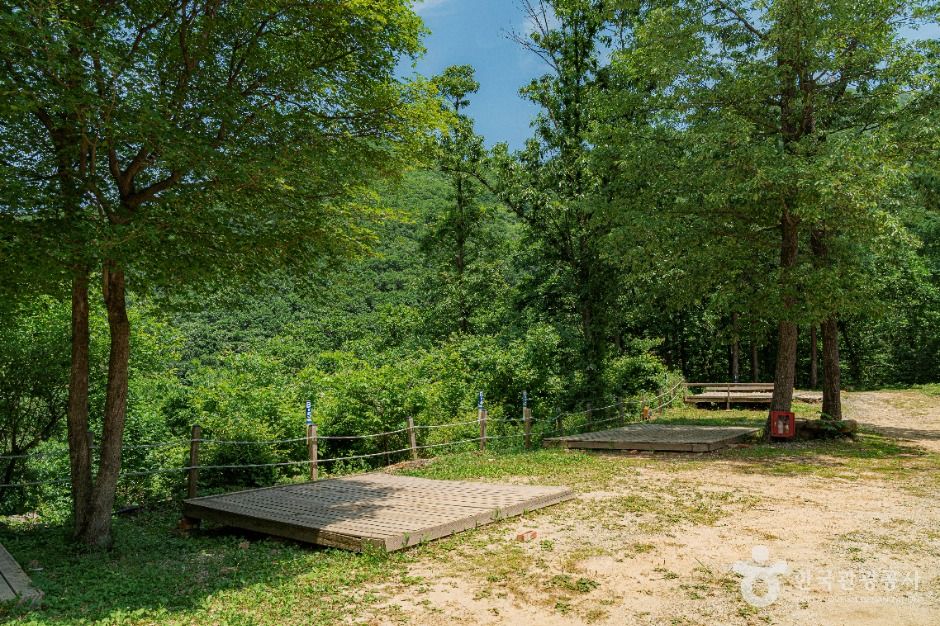 양평_설매재자연휴양림 (4)