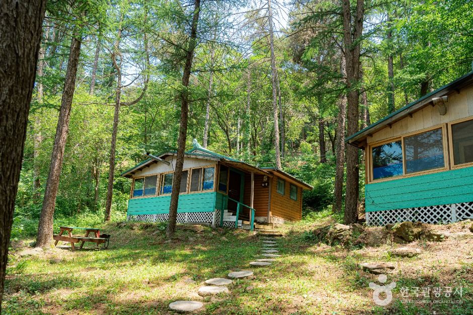 양평_설매재자연휴양림 (6)