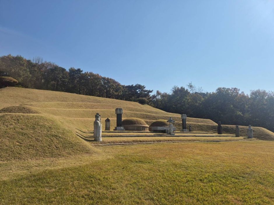 241108_고양_성령대군묘_계단쪽에서 바라본 묘지