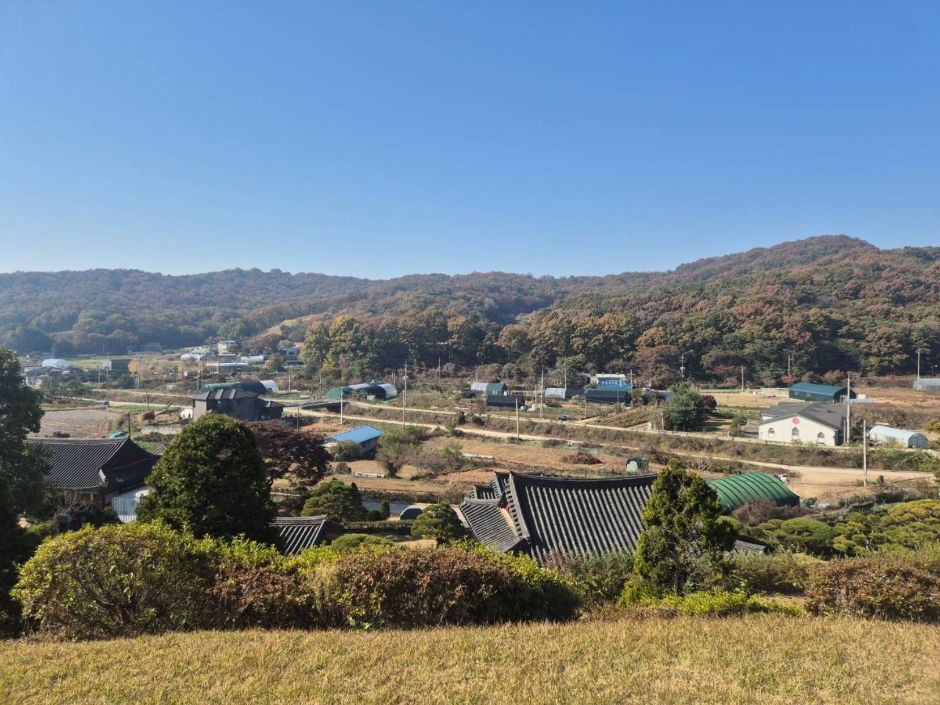 241108_고양_성령대군묘_묘지에서 바라본 풍경