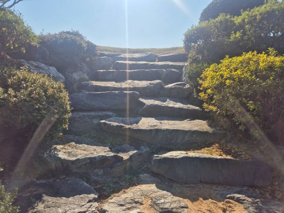 241108_고양_성령대군묘_최상부 계단