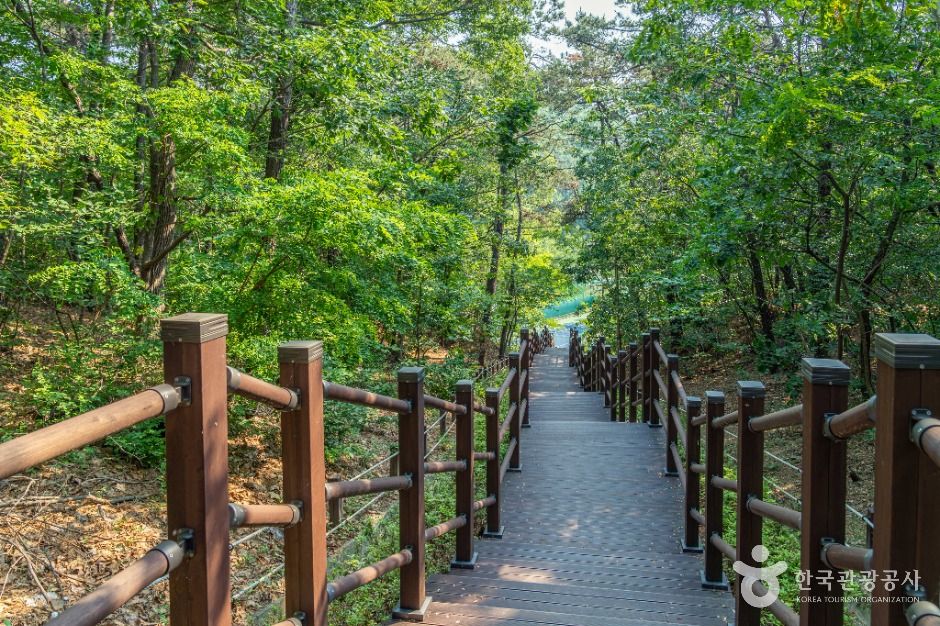 부천_성주산생활체육공원 (2)