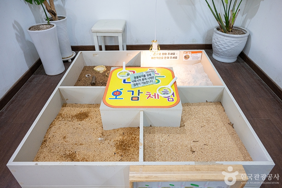 센트럴곤충생태농장 (2)