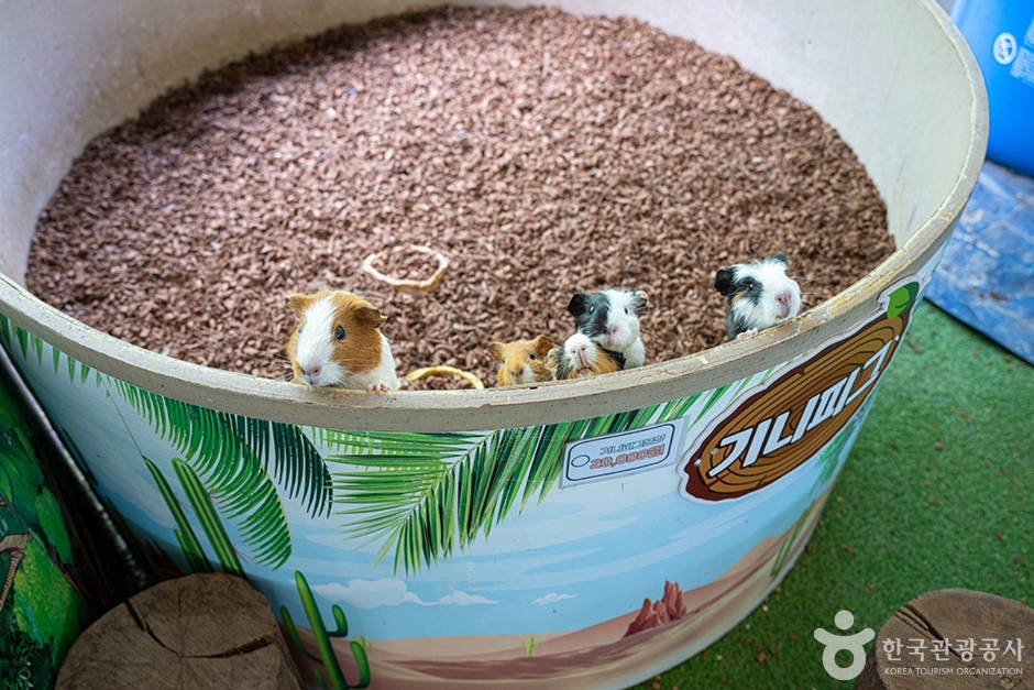 센트럴곤충생태농장 (12)