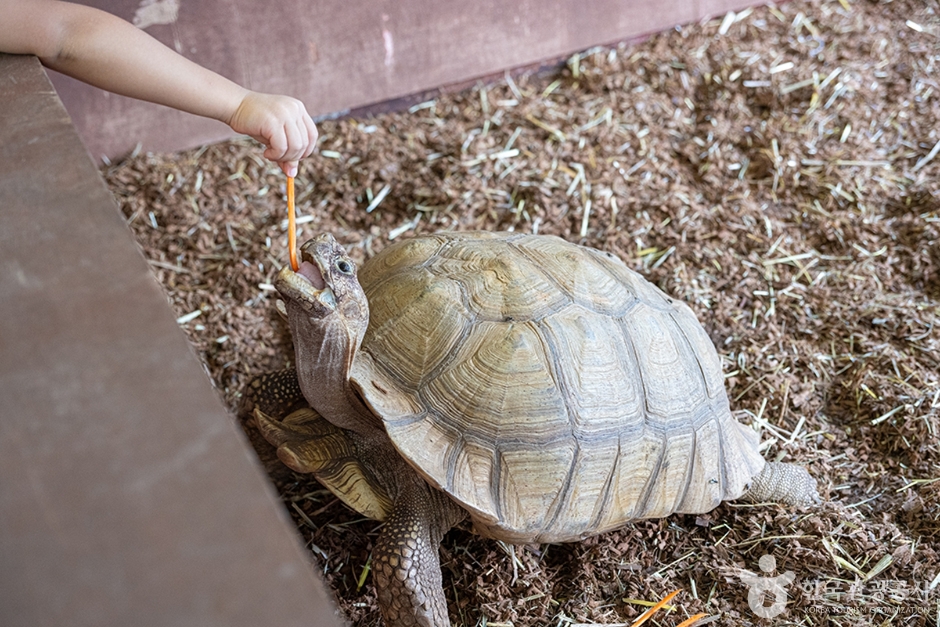 센트럴곤충생태농장 (14)