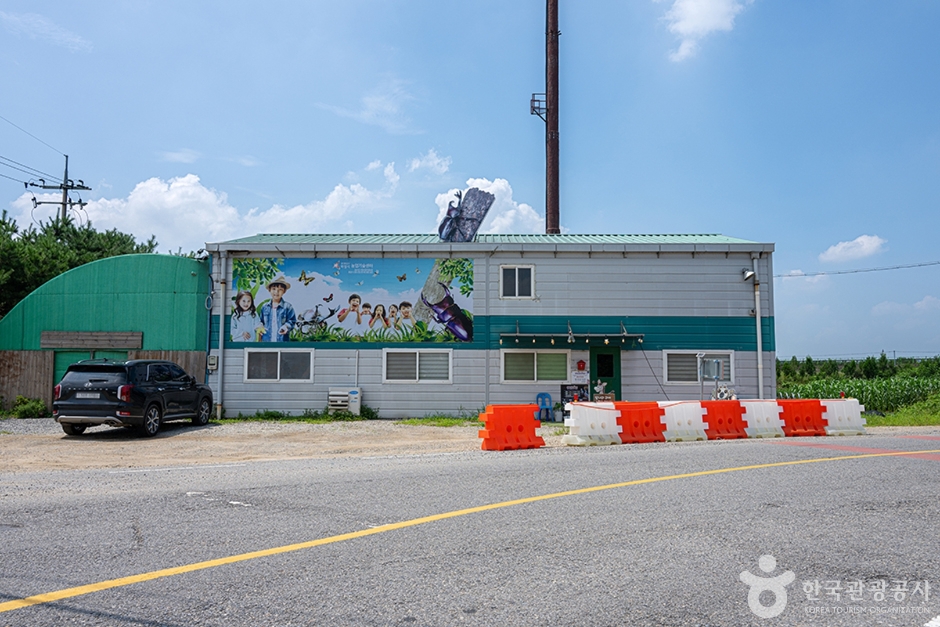 센트럴곤충생태농장 (15)