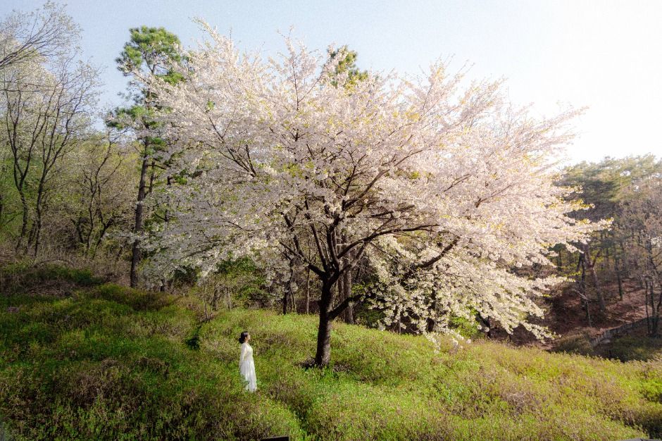시흥_소래산 (5)