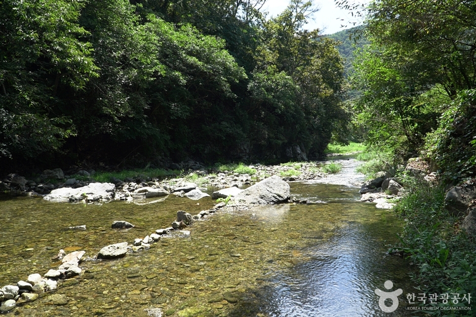 소소리농장 (14)