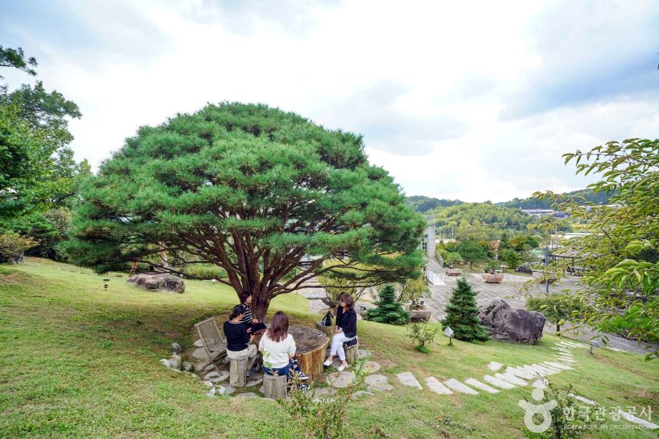 경기_파주_소울원 (4)