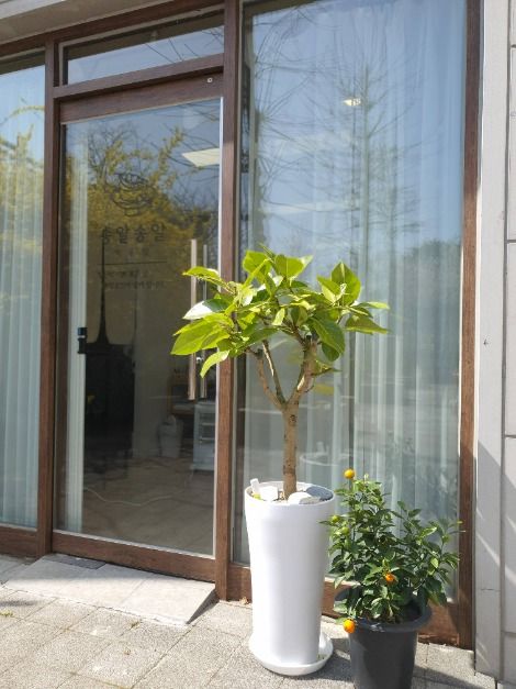 김포_송알송알 떡공방 (4)