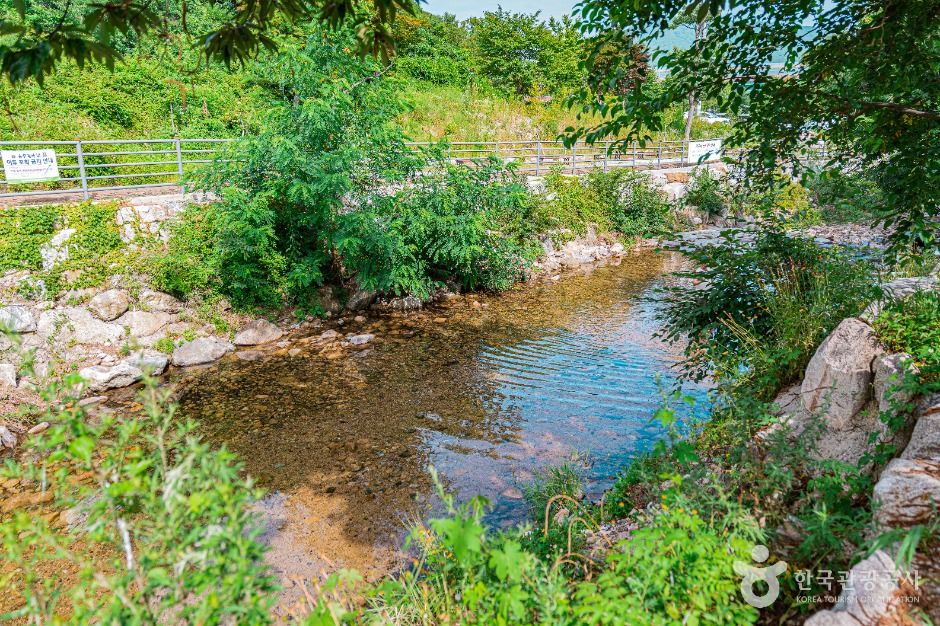 양주_송추계곡 (5)