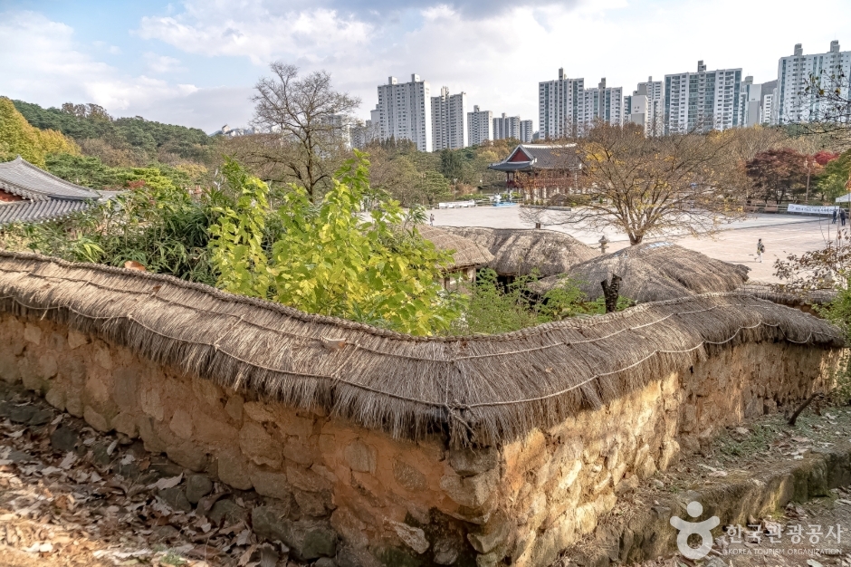 수내동가옥(이택구가옥) (14)