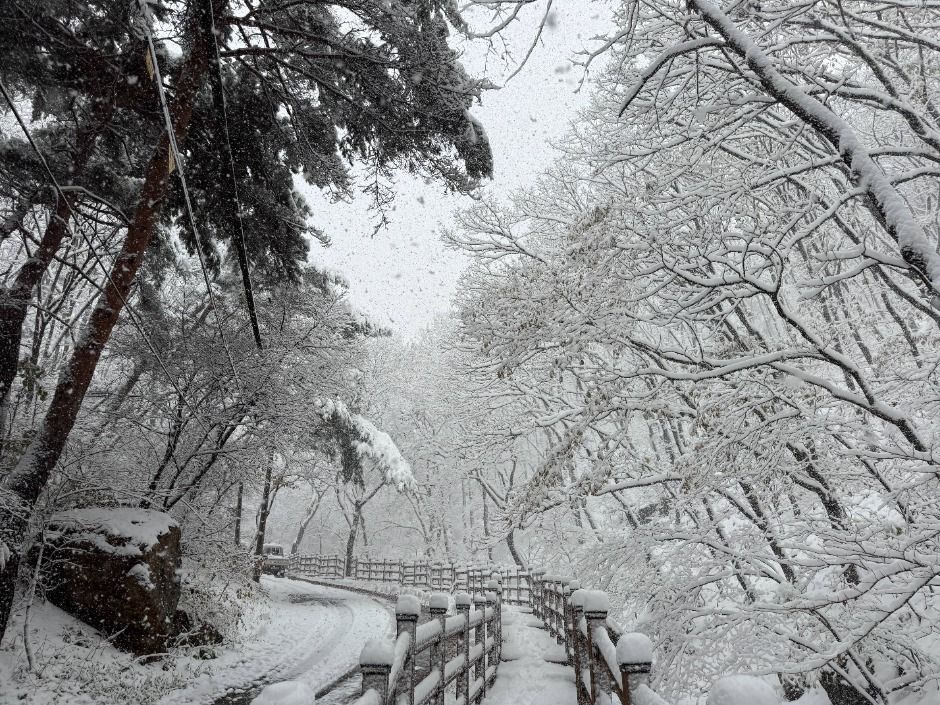 군포_수리산도립공원 (15)