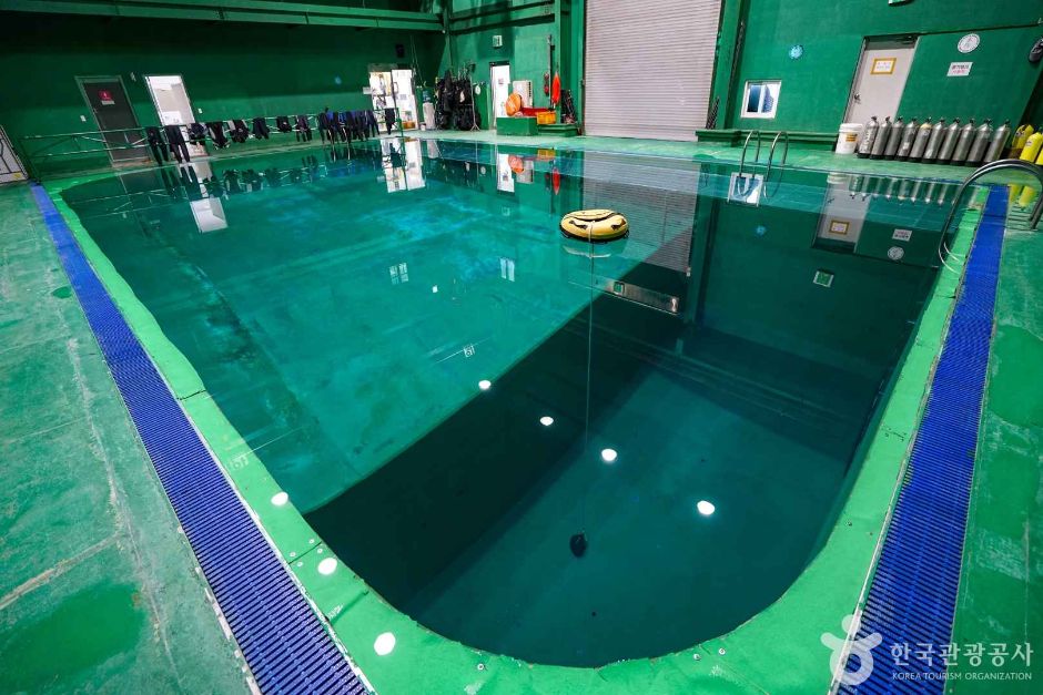 고양_수작코리아 (4)