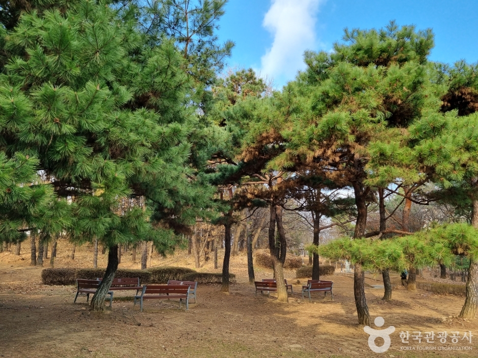 수지체육공원_8