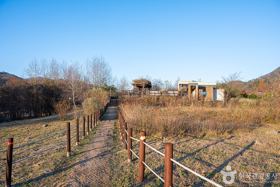 수풀로 삼회리  (4)