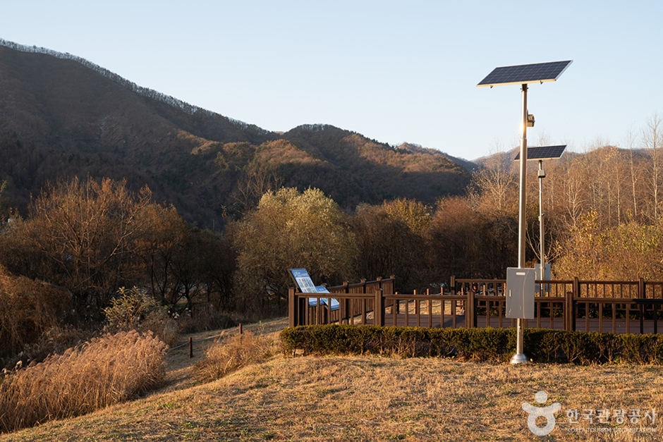수풀로 삼회리  (5)