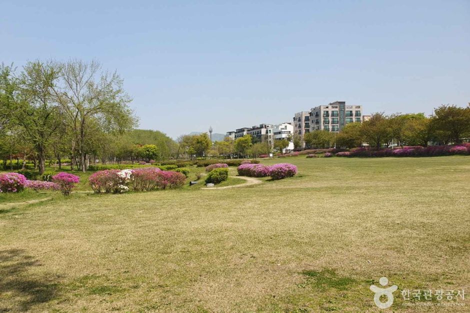 수풀로 양수리 (7)