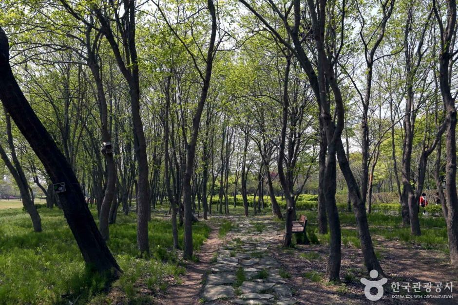 수풀로 양수리 (9)