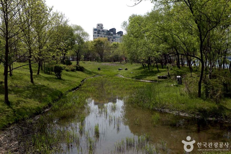 수풀로 양수리 (11)