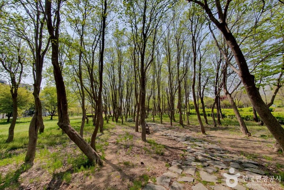 수풀로 양수리 (2)