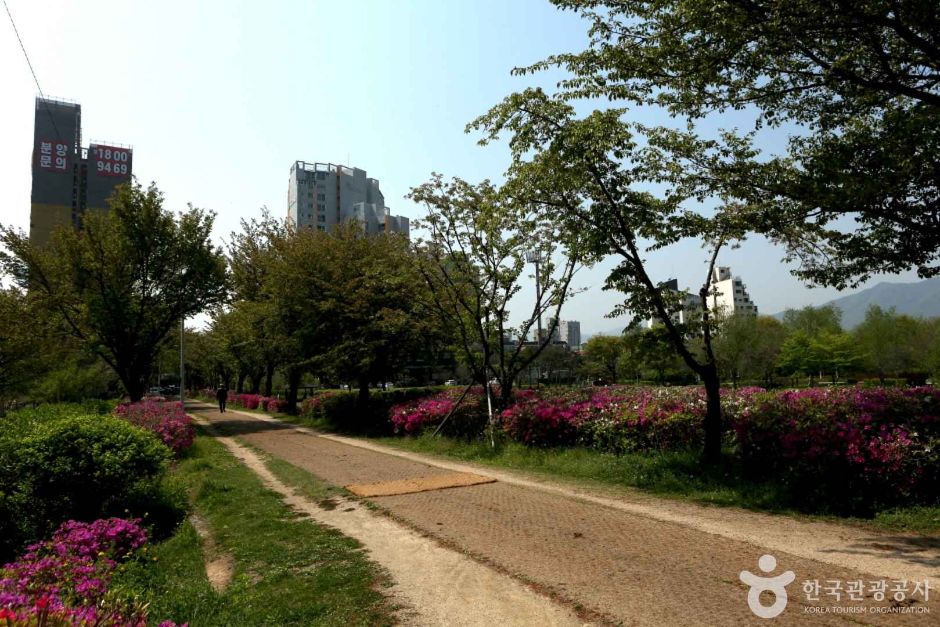 수풀로 양수리 (4)