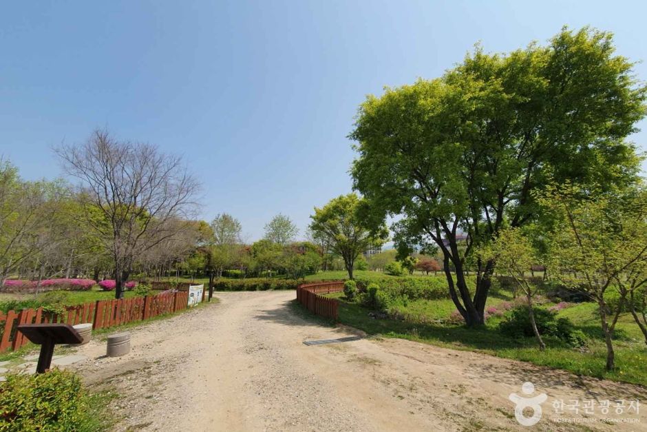 수풀로 양수리 (6)