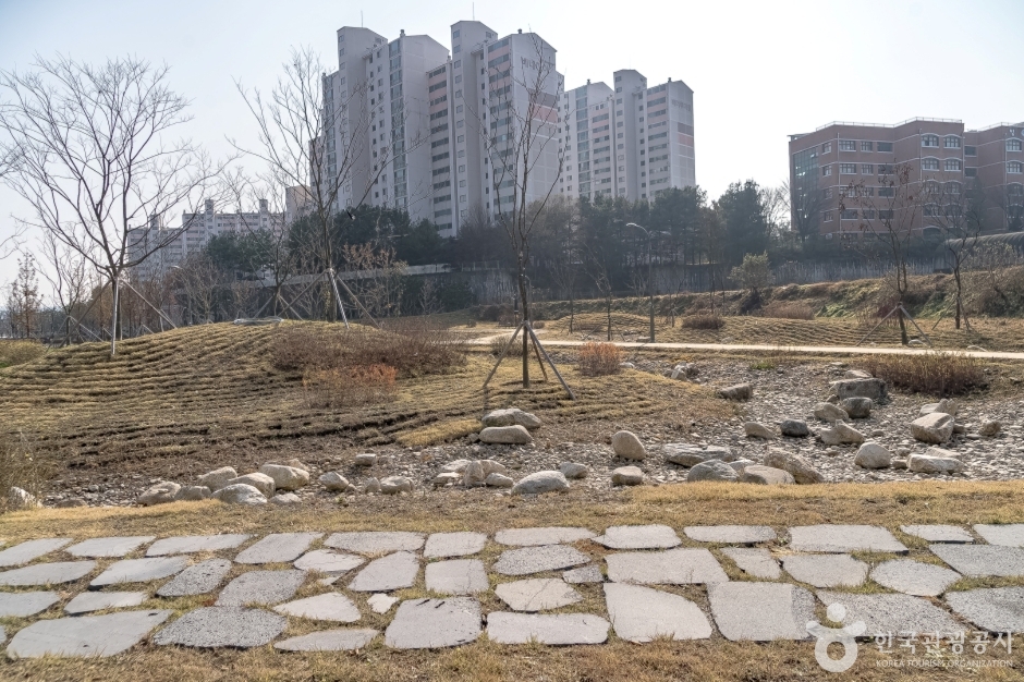 수풀로 영문리 (7)