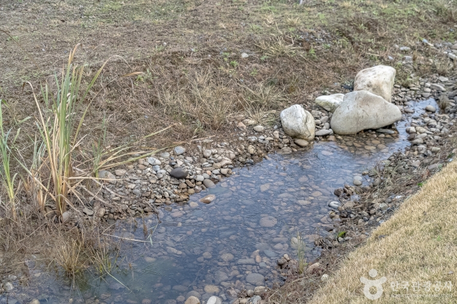 수풀로 영문리 (9)