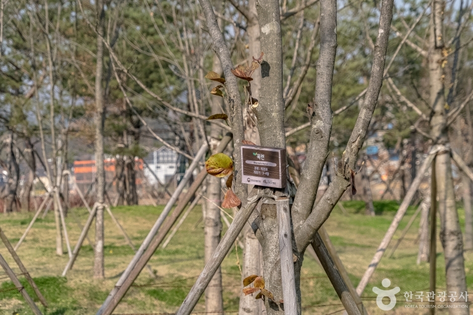 수풀로 영문리 (17)