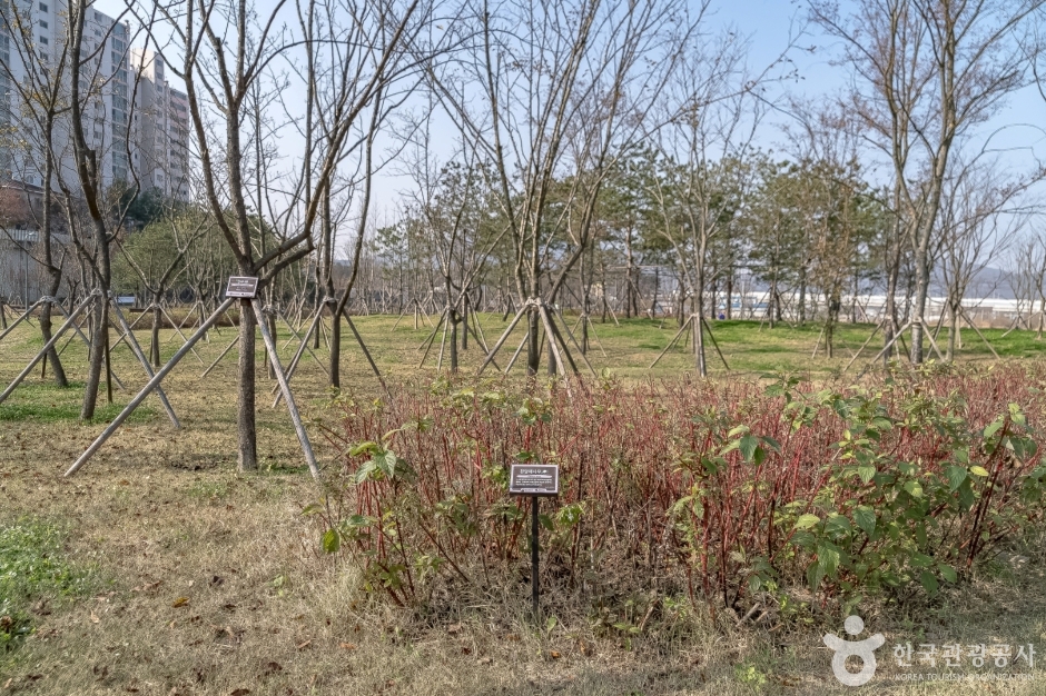 수풀로 영문리 (18)