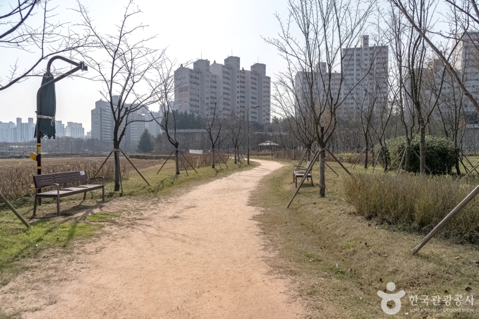 수풀로 영문리 (19)