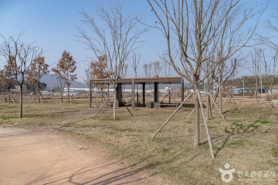 수풀로 영문리 (20)