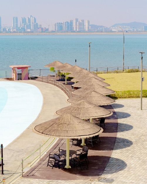 시흥_시흥배곧한울공원 (3)