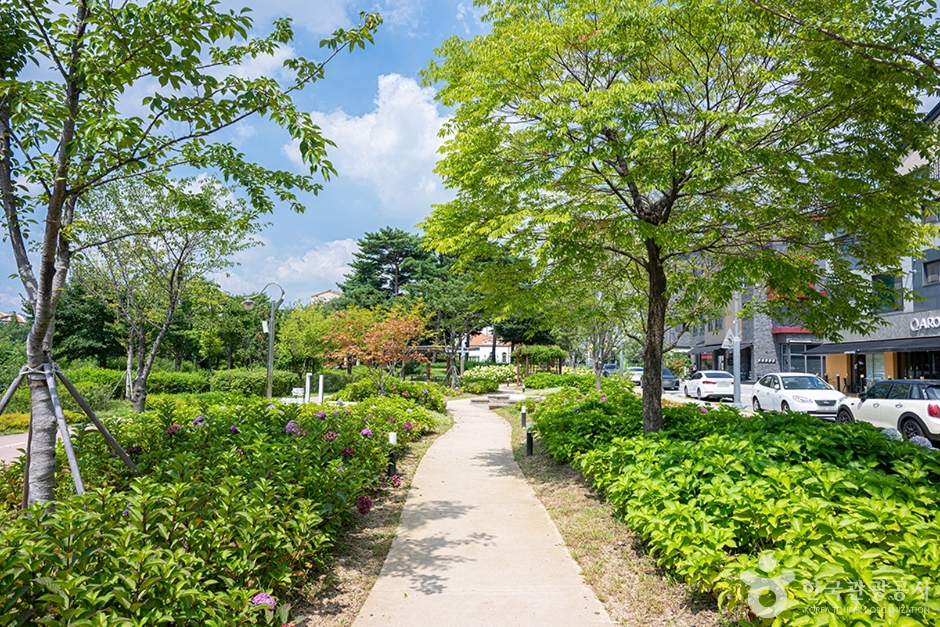 신동수변공원(3)