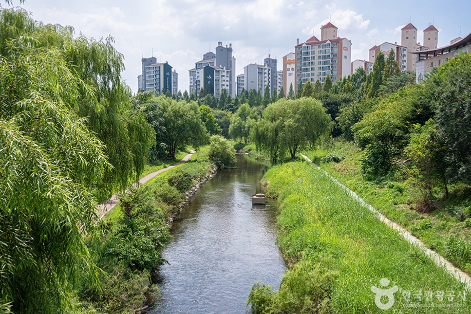 신동수변공원(10)
