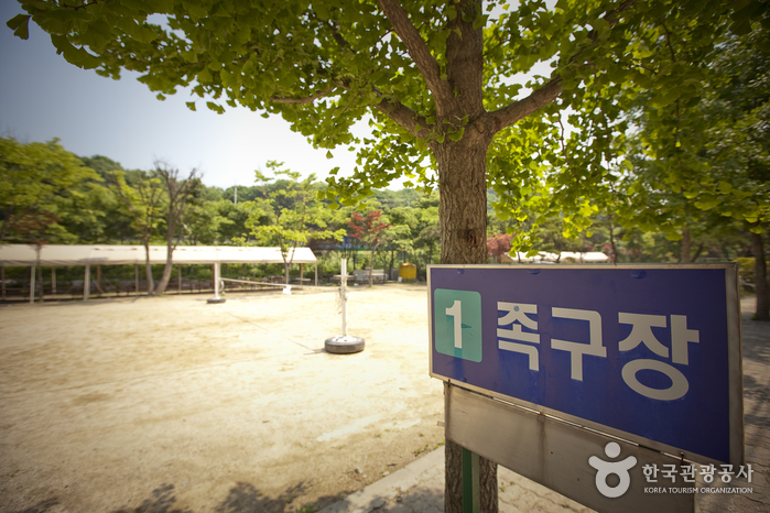 경기도_양주시_신흥유원지(신흥레저타운)09