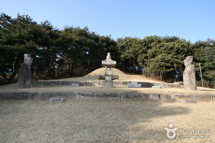 경기도 수원시 심온선생묘16