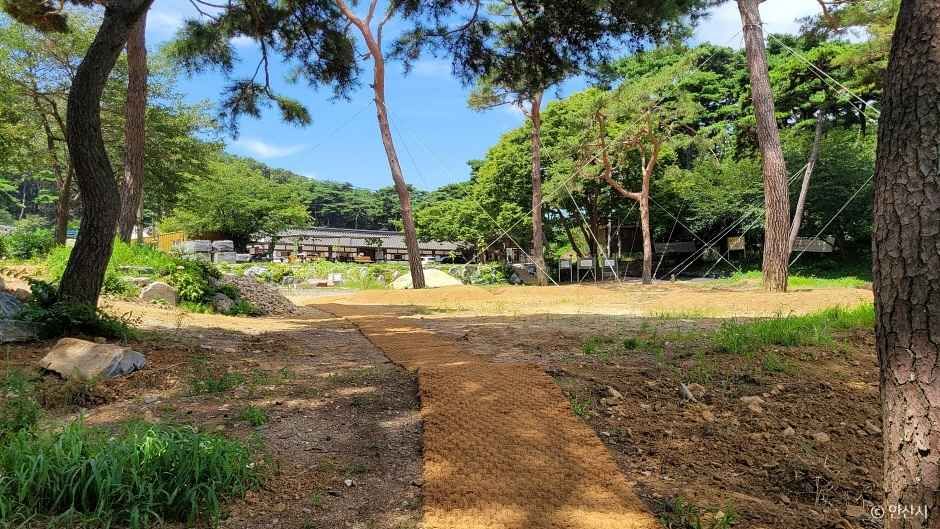 경기_안산_쌍계사(안산) (2)